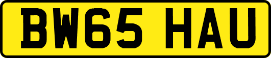 BW65HAU
