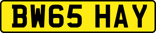 BW65HAY