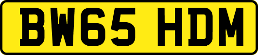 BW65HDM