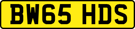 BW65HDS