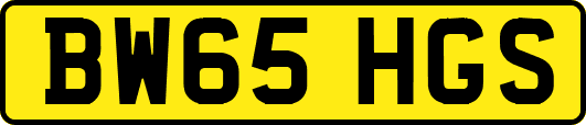 BW65HGS