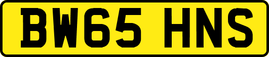 BW65HNS
