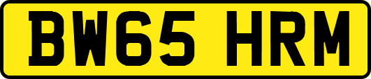 BW65HRM