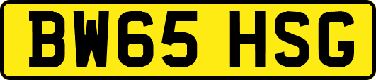 BW65HSG