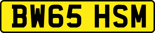 BW65HSM