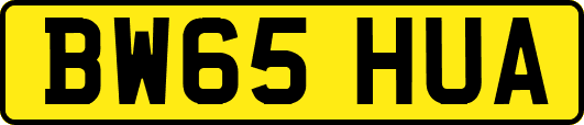 BW65HUA
