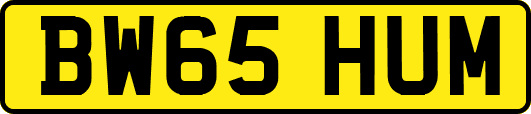 BW65HUM