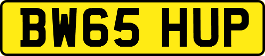 BW65HUP