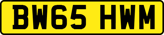 BW65HWM