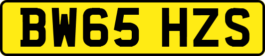 BW65HZS