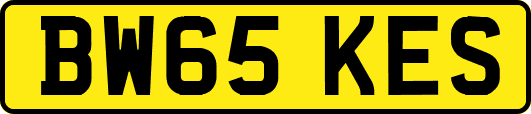 BW65KES