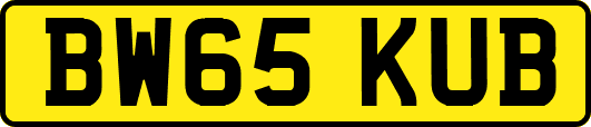 BW65KUB