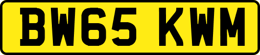 BW65KWM