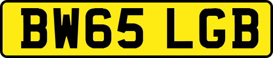 BW65LGB