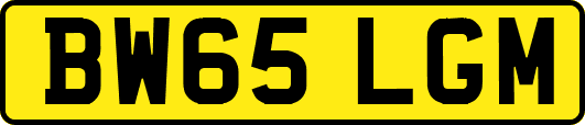 BW65LGM