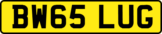 BW65LUG