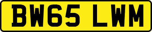BW65LWM