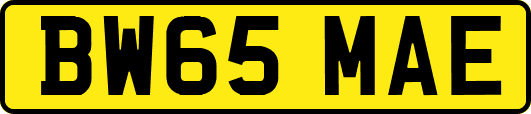 BW65MAE