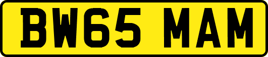 BW65MAM