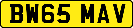 BW65MAV