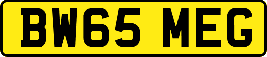 BW65MEG