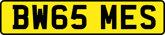 BW65MES