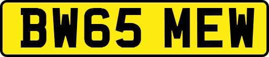 BW65MEW