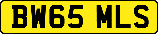 BW65MLS