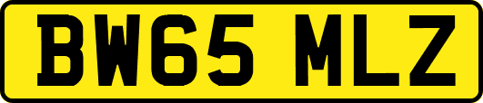 BW65MLZ