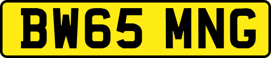 BW65MNG