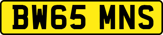 BW65MNS