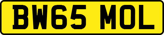 BW65MOL