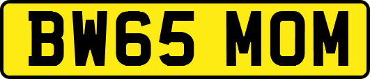 BW65MOM