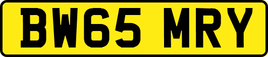 BW65MRY