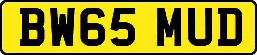 BW65MUD
