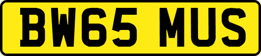 BW65MUS