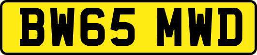 BW65MWD