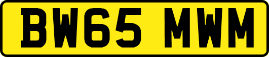 BW65MWM