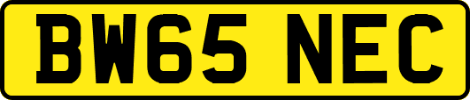 BW65NEC