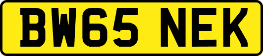 BW65NEK
