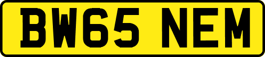 BW65NEM
