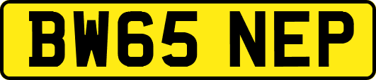 BW65NEP