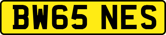 BW65NES