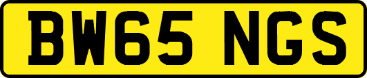 BW65NGS