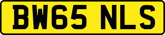 BW65NLS