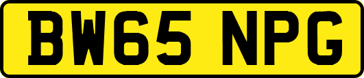 BW65NPG