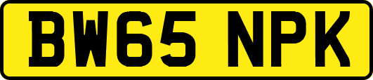 BW65NPK