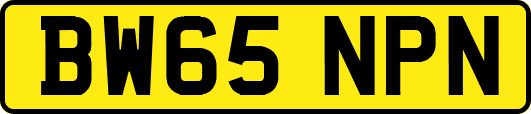 BW65NPN