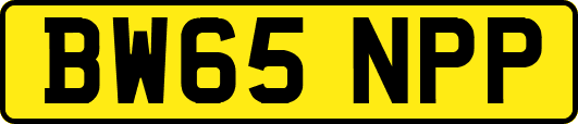 BW65NPP