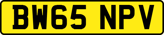 BW65NPV